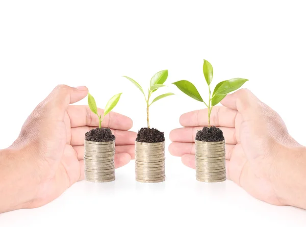 Holding plant  from handful of coins — Stock Photo, Image