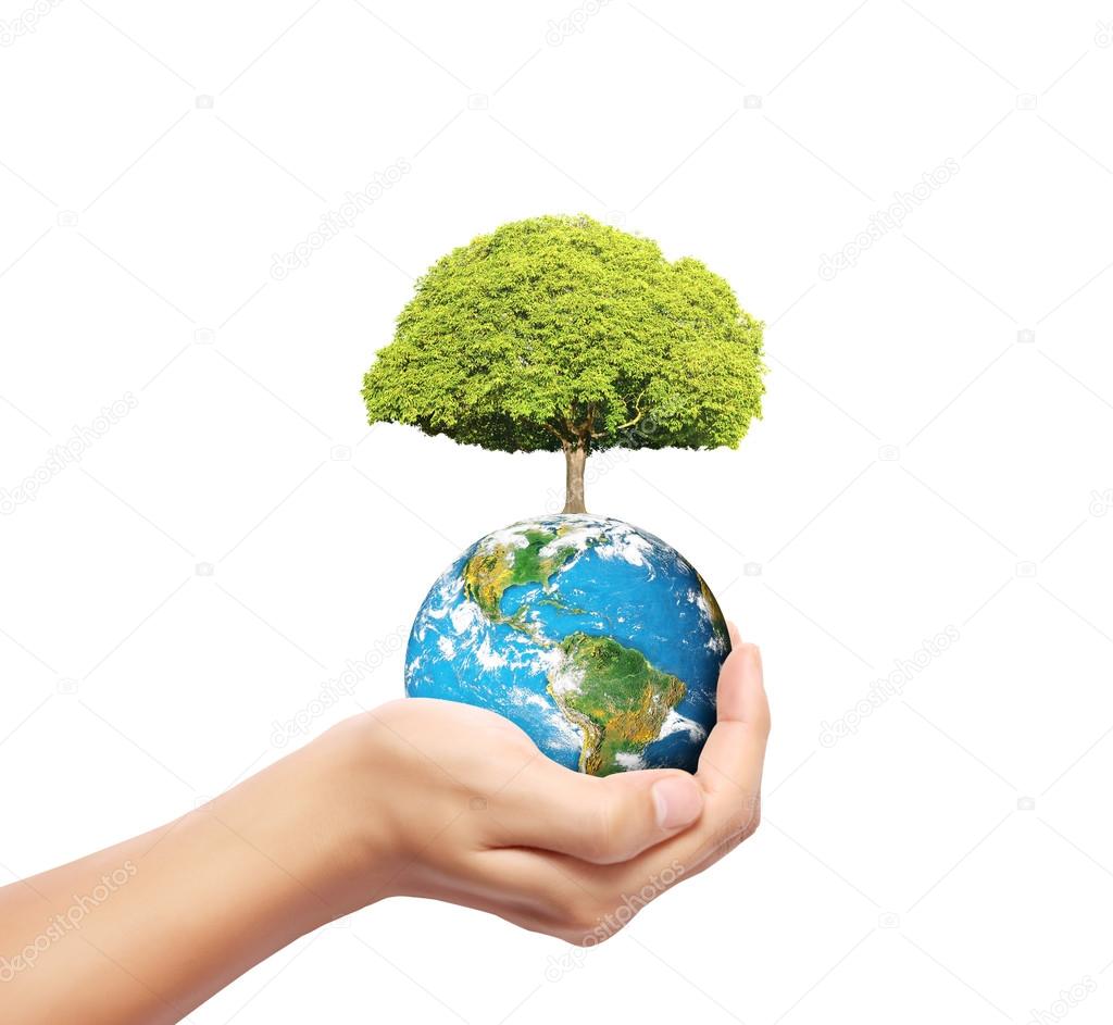Earth in human the hand 