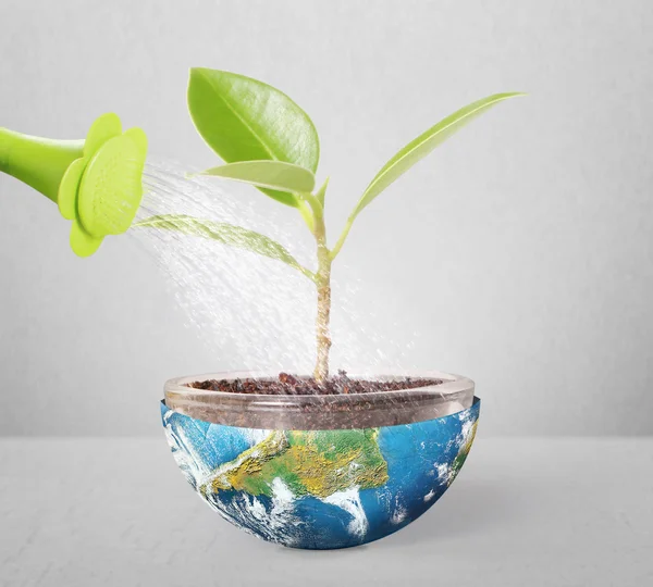 Protect the environment concept earth with tree — Stock Photo, Image