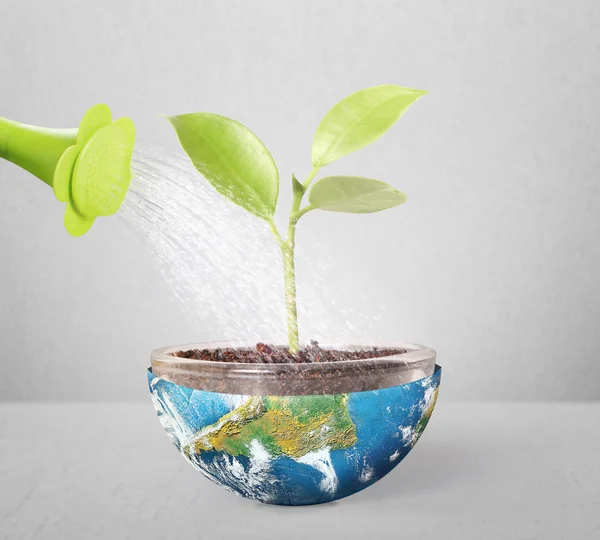Protect the environment concept earth with tree — Stock Photo, Image