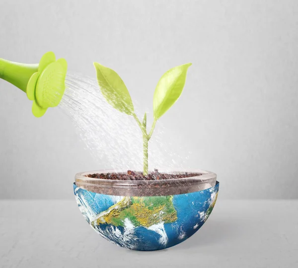 Protect the environment concept earth with tree — Stock Photo, Image