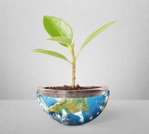 Bescherming van het milieu concept aarde met boom — Stockfoto