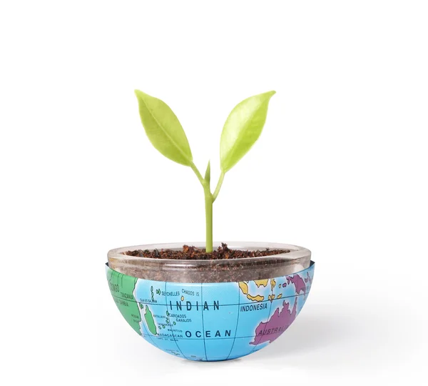 Umweltkonzept Erde mit Baum schützen — Stockfoto