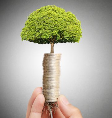  avuç bozukluk çimlenme bitki holding