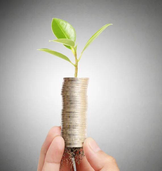 Holding plant sprouting from handful of coins — Stock Photo, Image