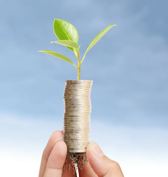 Holding plant sprouting from handful of coins — Stock Photo, Image