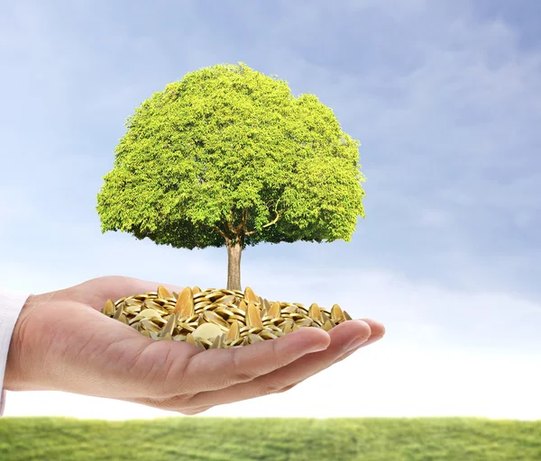 Empresario sosteniendo planta brotando de un puñado de monedas — Foto de Stock