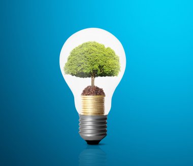 Enerji tasarrufu ampulü