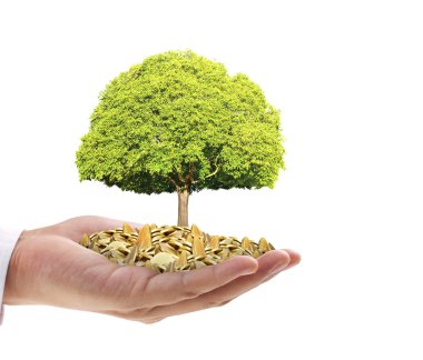 avuç bozukluk çimlenme bitki tutan işadamı 