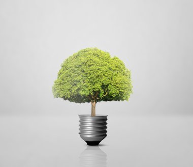 Enerji tasarrufu ampulü