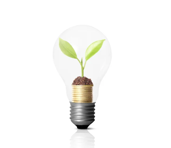 Energy saving light bulb — Stock Photo, Image