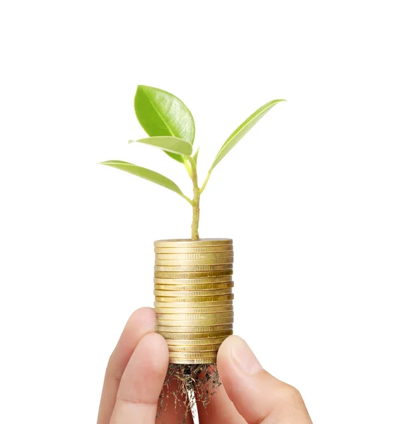 Businessman holding plant sprouting from  handful of coins — Stock Photo, Image