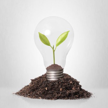 Enerji tasarrufu ampulü 