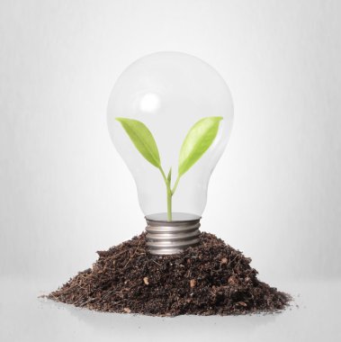 Enerji tasarrufu ampulü 