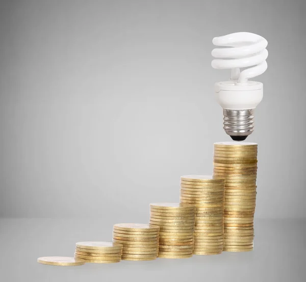 Money saved in different kinds of light bulbs — Stock Photo, Image