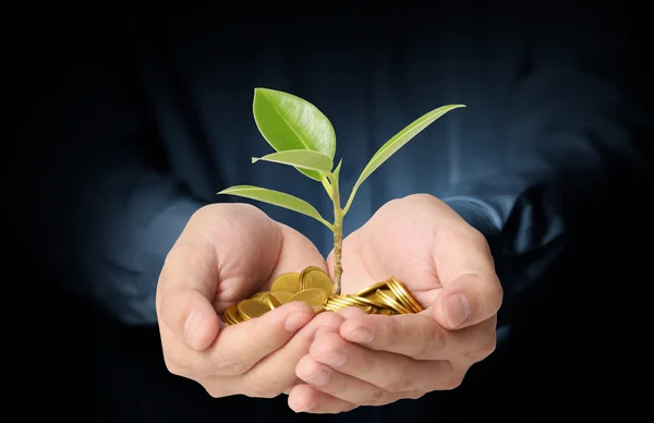  bir avuç bozukluk çimlenme bitki holding 