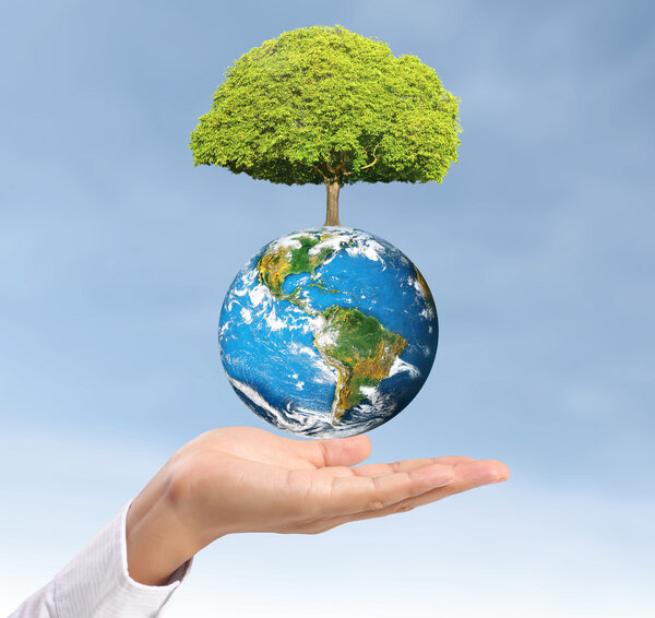 Земля в человеке рука
 