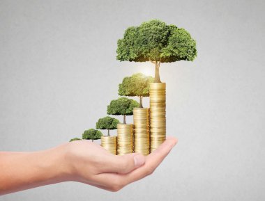 jeton büyüyen ağacı 