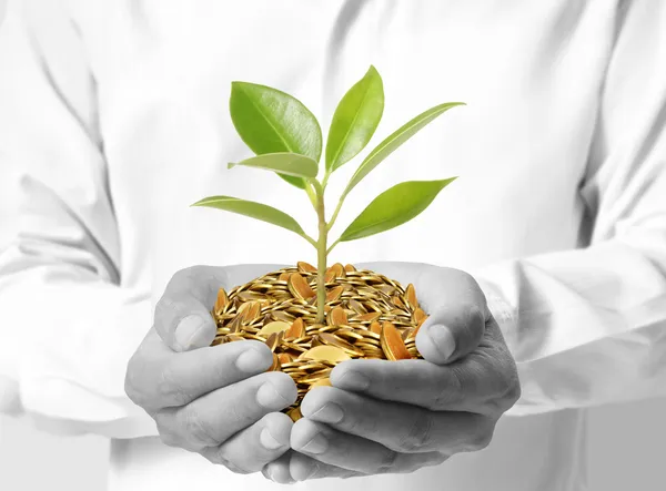 Investing to green business — Stock Photo, Image