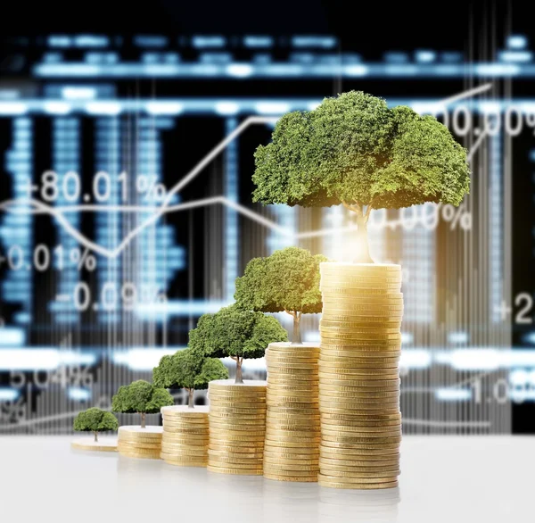 Tree growing from coins — Stock Photo, Image