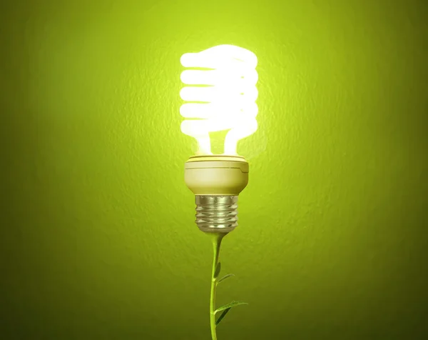 Energy saving light bulb — Stock Photo, Image