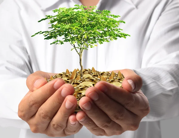 Investing to green business — Stock Image Investing to green business Royalty Free Stock Images