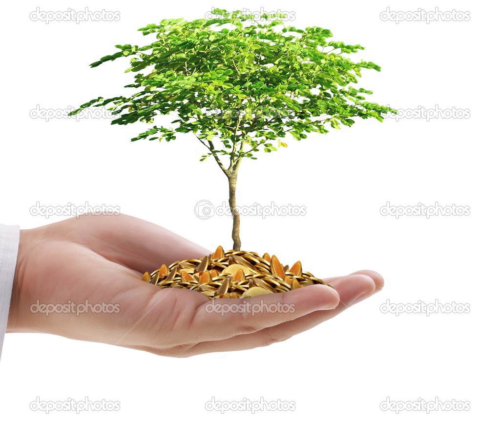 hand holding a young tree growing on coins 