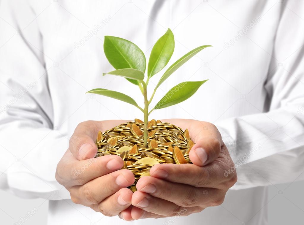 Investing to green business 