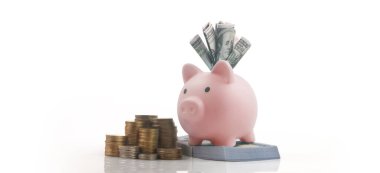 Domuz kumbarası ve para tasarrufu