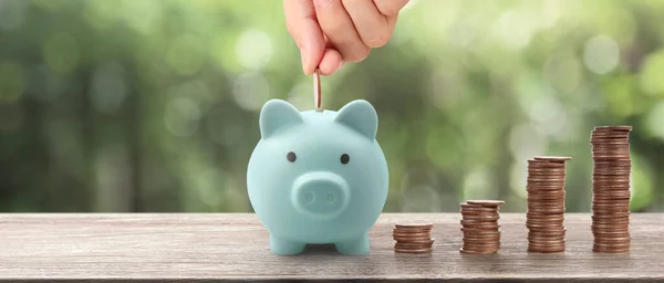 Pila Una Moneda Con Gráfico Comercio Concepto Inversión Financiera Piggy —  Fotos de Stock