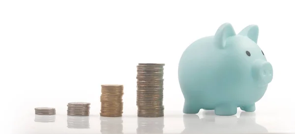 Munten Met Handelsgrafiek Financieel Beleggingsconcept Een Piggy Bank — Stockfoto