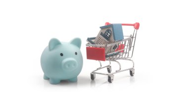 Oyuncak alışveriş arabası ve kumbara. Tüketici toplumu eğilimi ve Model Evi