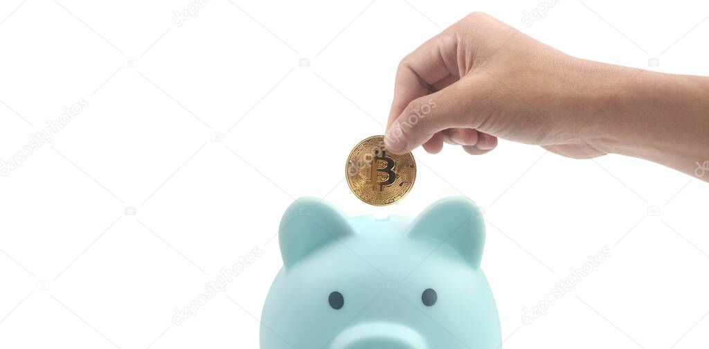 Bitcoin with financial investment in hand  concept and Piggy bank