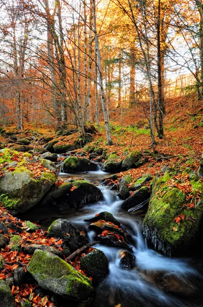 Cachoeira curva — Fotografia de Stock