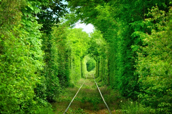 Tunnel of love Royalty Free Stock Photos