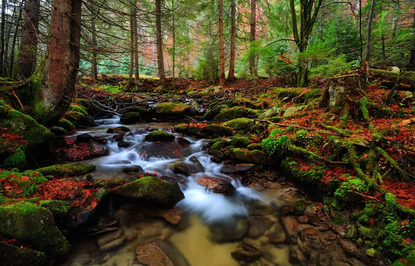 Montagne automne rivière — Photo