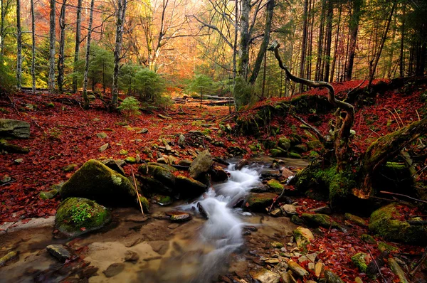 Herfst rivier berg — Stockfoto