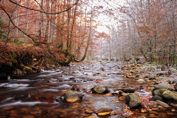 Paisagem de água no final do outono — Fotografia de Stock