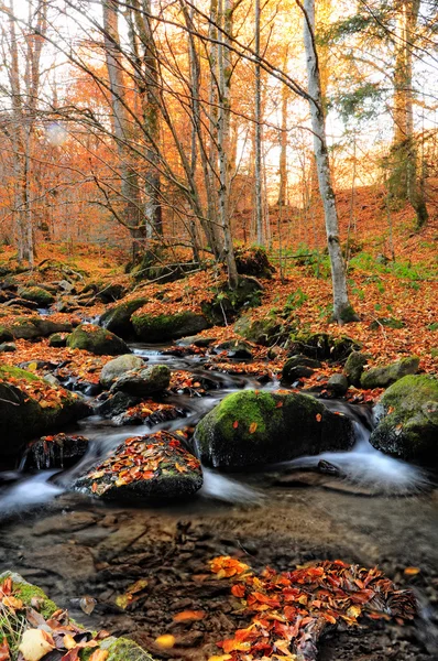 秋の水の風景 — ストック写真