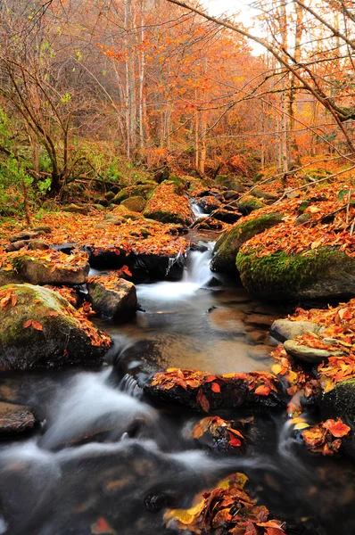 Paisagem de água de Outono — Fotografia de Stock