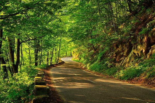 Light at the end of the road — Stock Photo, Image