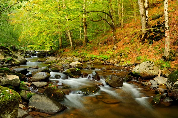 Křivka vodopád v podzimním lese — Stock fotografie
