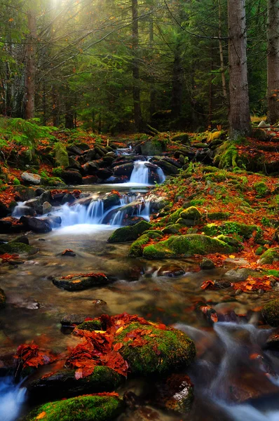 Wasserlandschaft des Herbstes — Stockfoto
