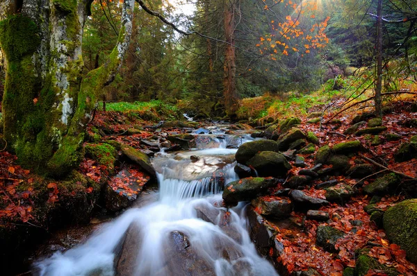 Schöner Wasserfall des kleinen Flusses — Stockfoto