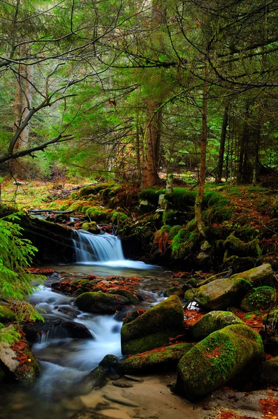 Cachoeira bonita de pequeno rio — Fotografia de Stock