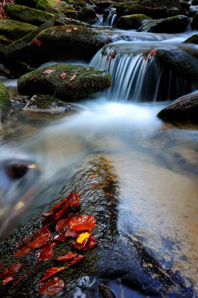Beautiful waterfall of little river — Stock Photo, Image