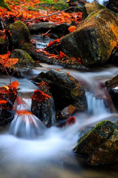 Paisaje acuático de otoño —  Fotos de Stock