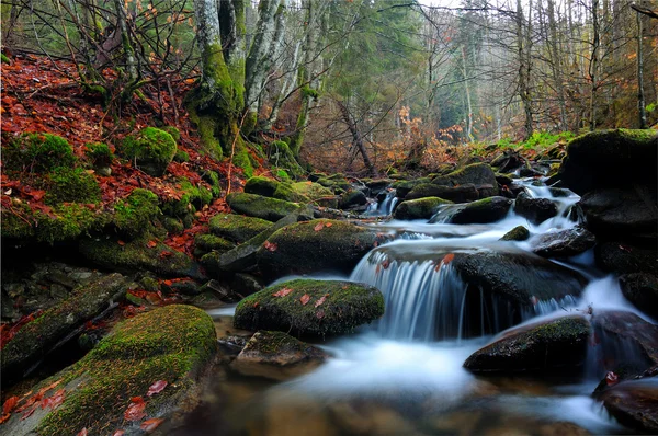 Paysage aquatique d'automne — Photo