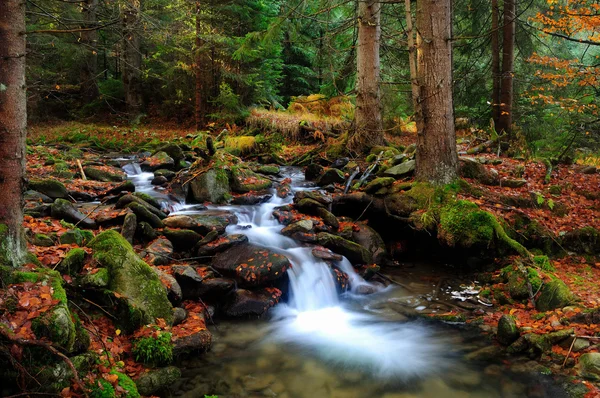 水の秋の風景 ロイヤリティフリーのストック画像