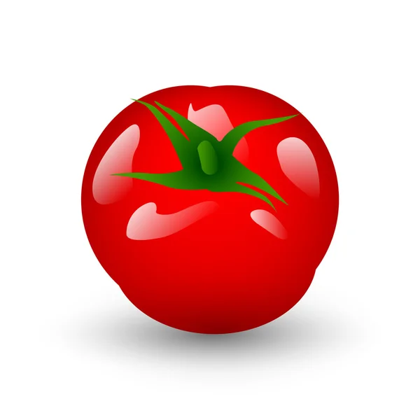 Isolado de tomate fresco sobre branco — Vetor de Stock